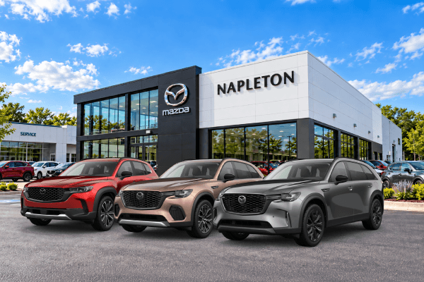 <strong>0% APR Financing For 36 Months</strong>
