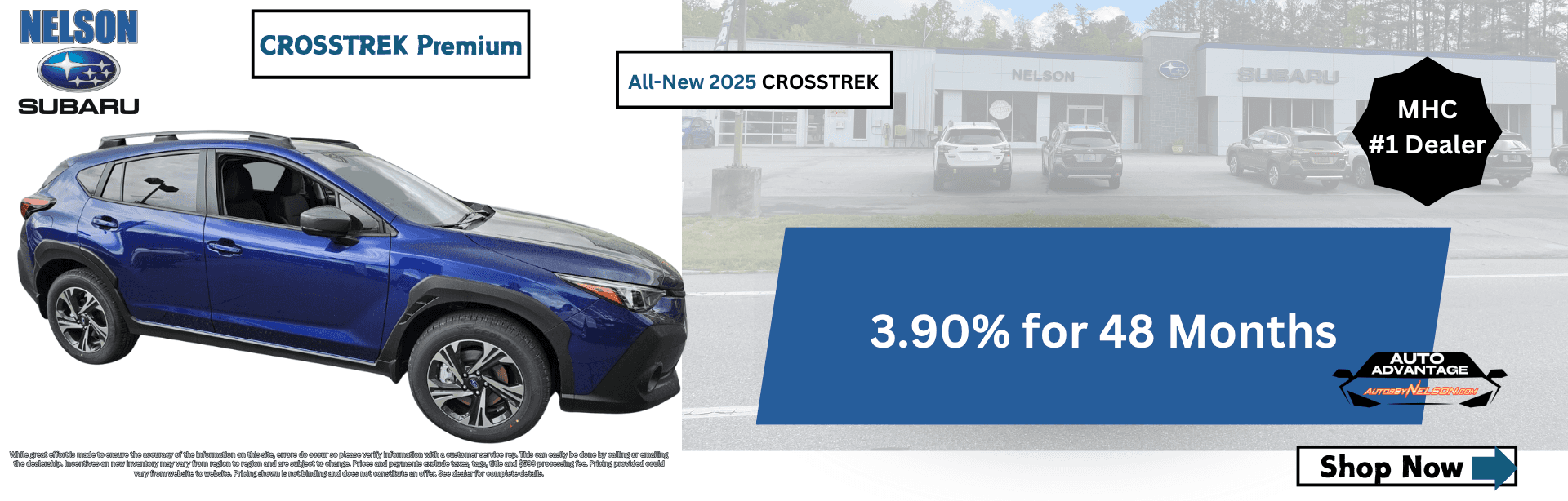 Copy-of-Nelson-Ford-Template–4-
