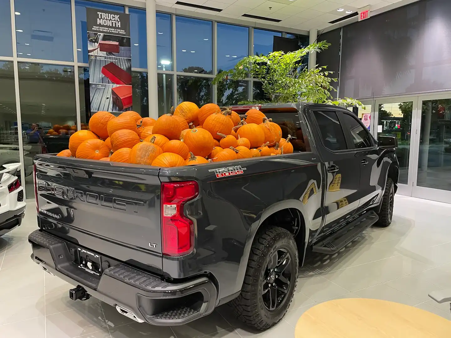 Truck bed filled with pumpkins inside New Smyrna Beach Chevrolet during Halloween Trunk or Treat event