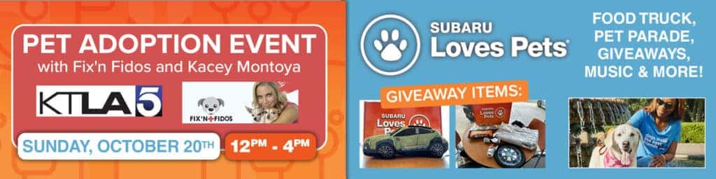 Pet Adoption Event