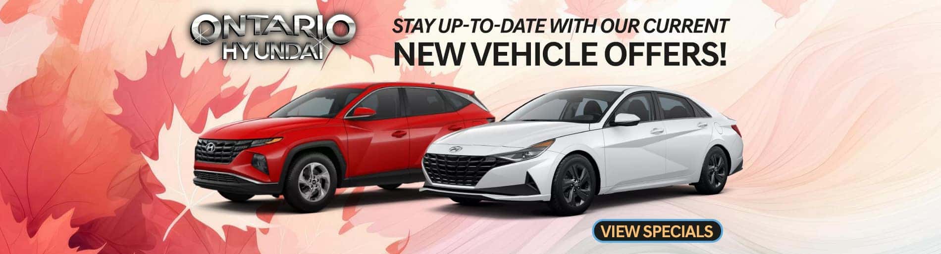 Click here to view our current monthly specials!