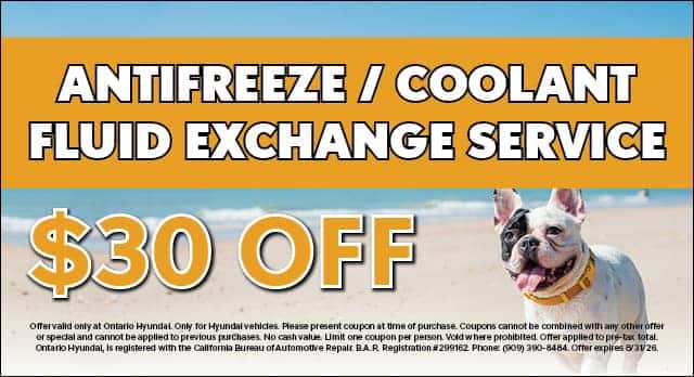 antifreeze/coolant fuid exchange service $30 off