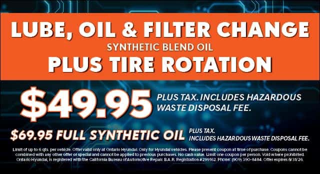 Oil Filter Service Special