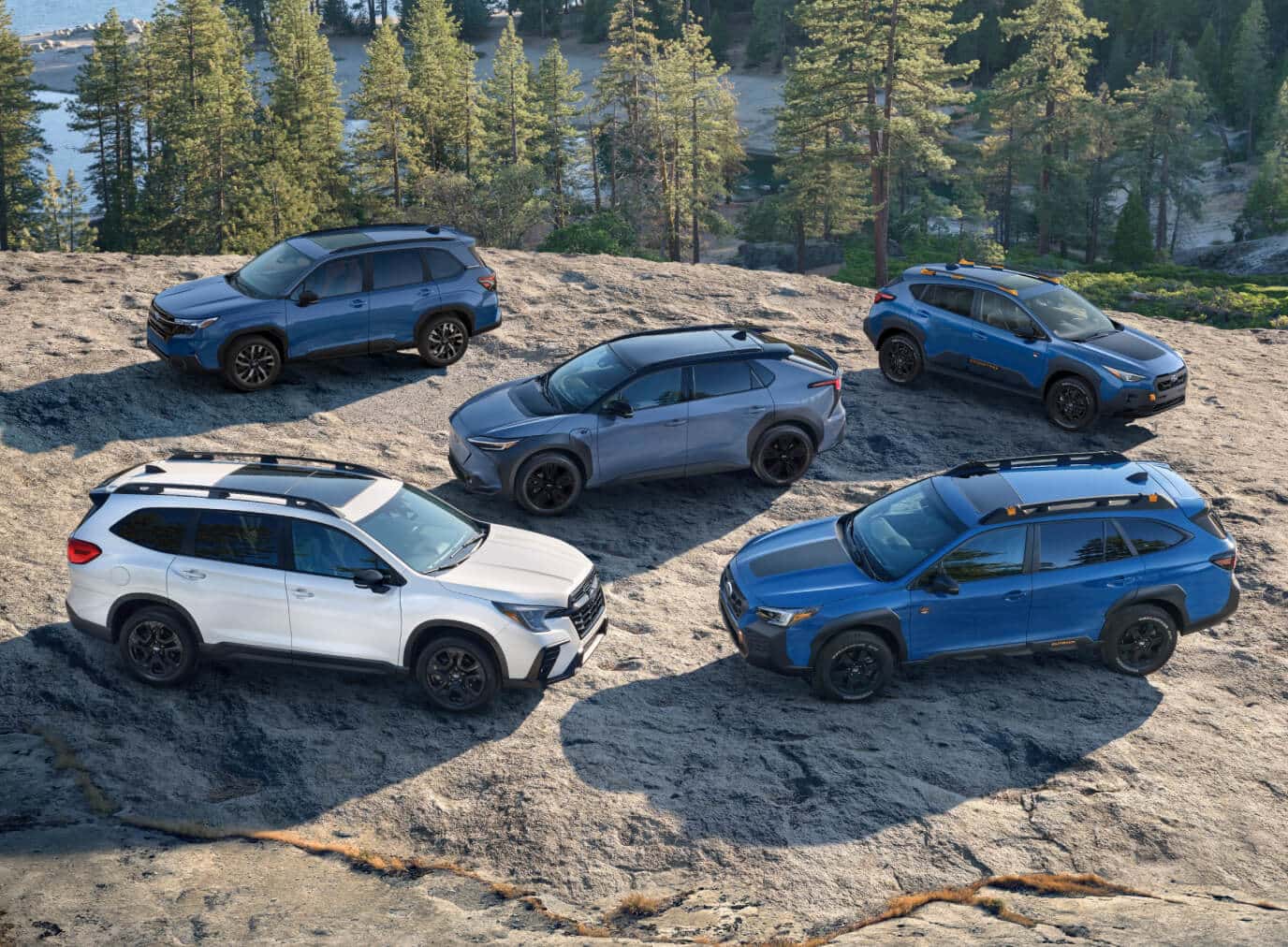 Used Subaru Lineup