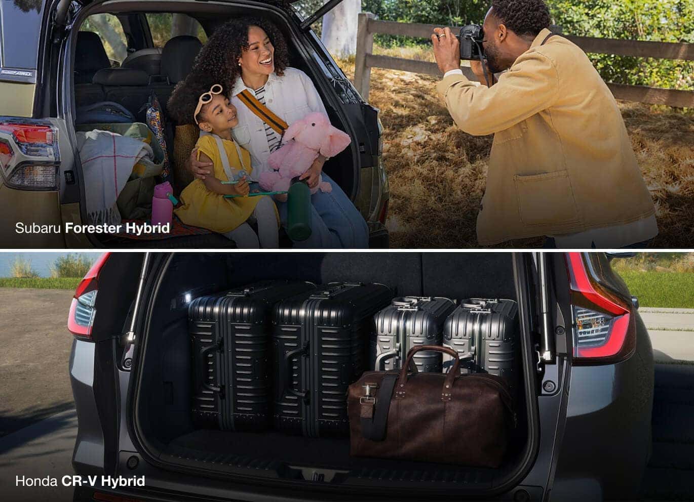 Cargo Space & Dimensions