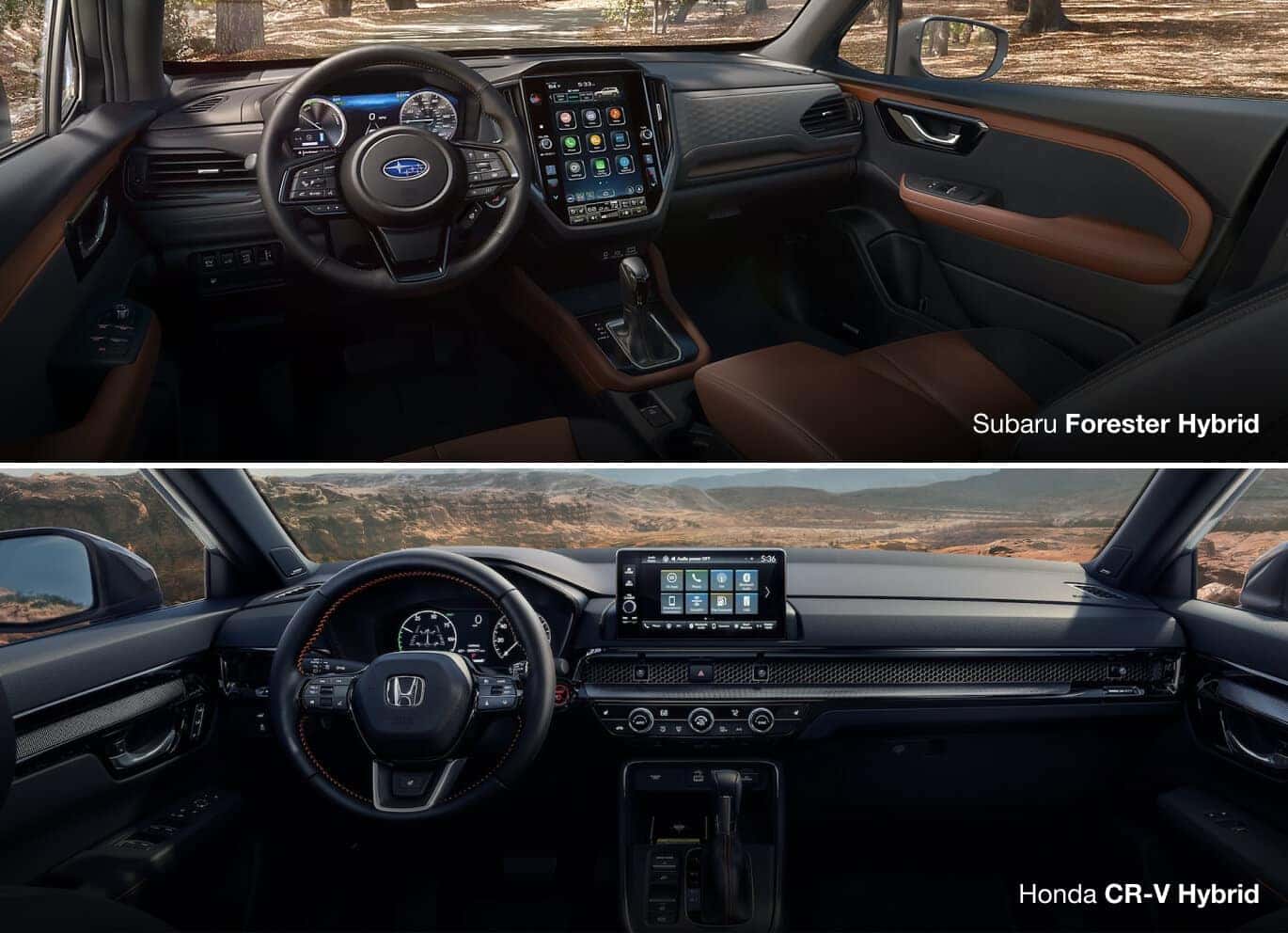 Interior & Features