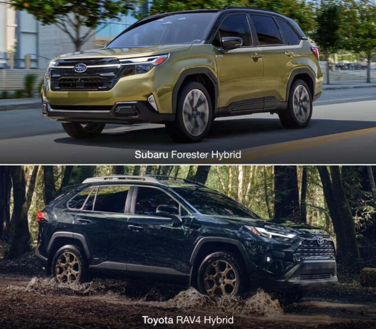 2025 Subaru Forester Hybrid vs. 2025 Toyota RAV4 Hybrid