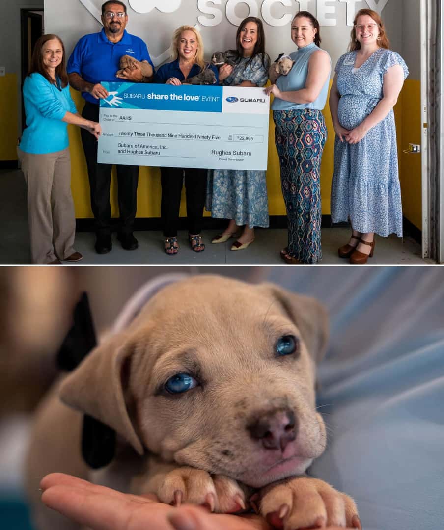 Hughes Subaru Loves Pets Puppy Shot & AAHS Donation