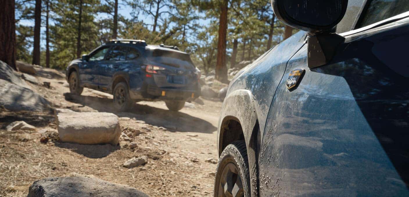 Subaru Forester Wilderness