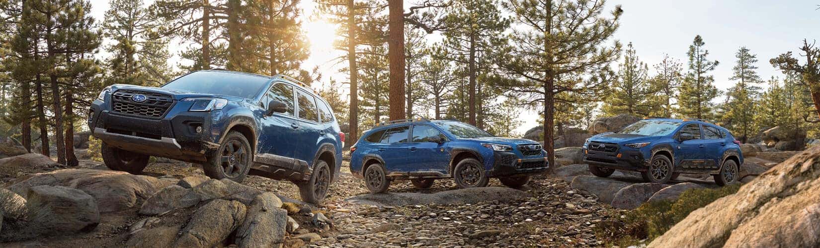 Your Favorite New Subaru Dealership Near Georgetown, KY