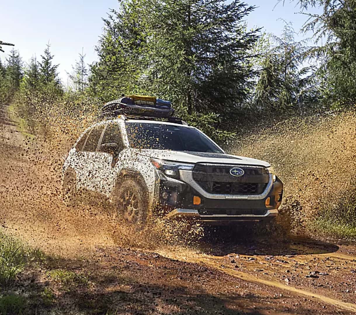 Subaru Forester Suspension
