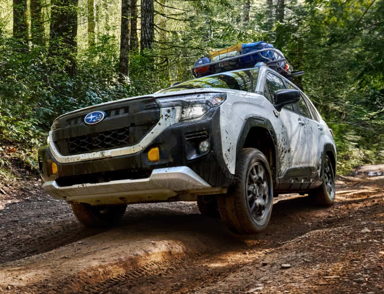 Subaru Forester Ground Clearance