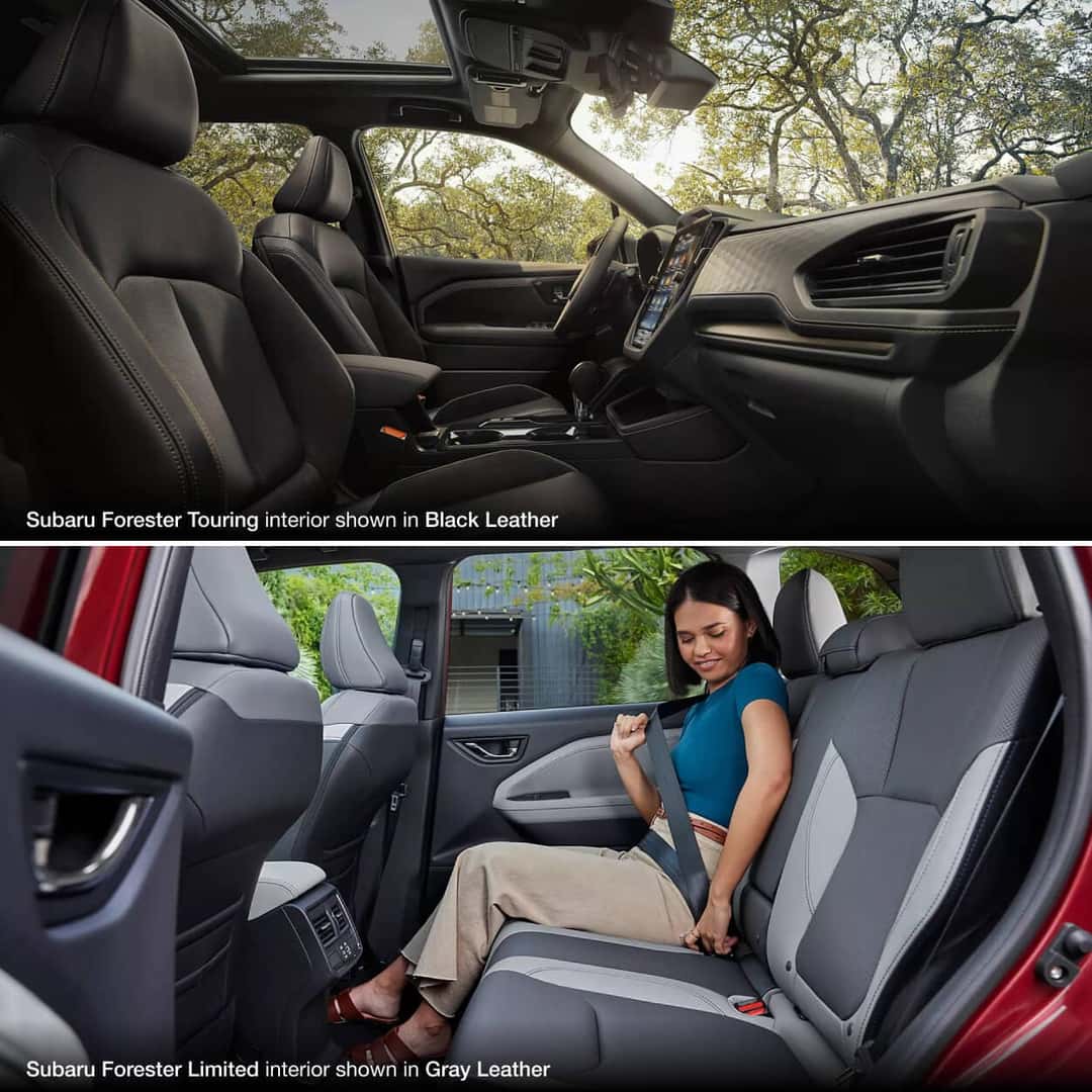 Subaru Forester Seating & Colors