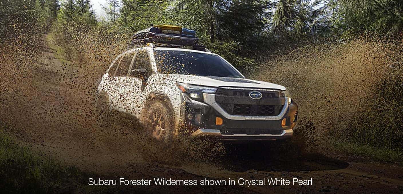 2026 Subaru Forester Wilderness