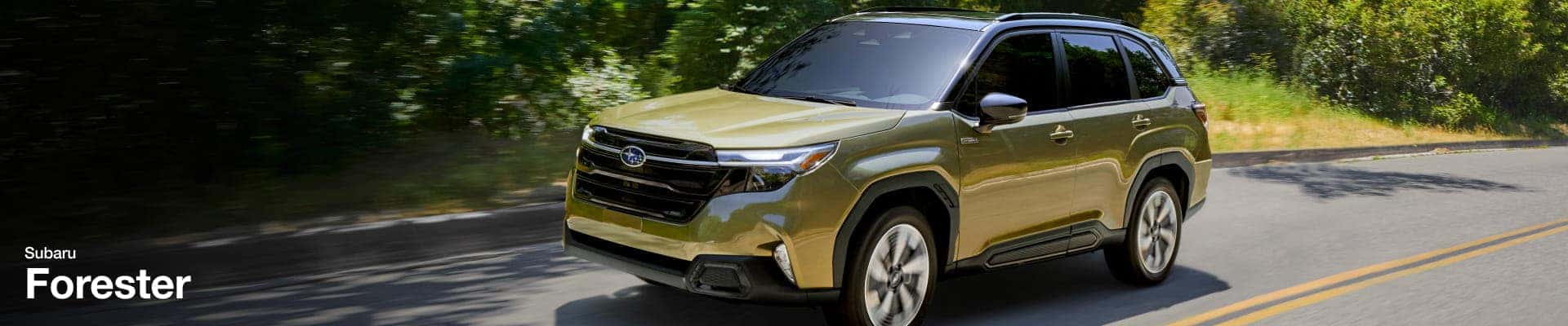 2026 Subaru Forester Hybrid driving on a sunlit, tree-lined road. The vehicle's sleek design stands out, conveying a sense of adventure and modernity.