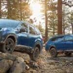 2023 Subaru Forester and Outback Wilderness Models in Nature