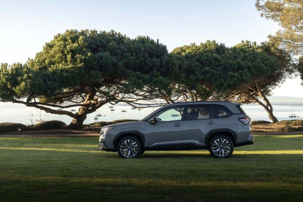 Subaru Forester Parked Side View in a Park