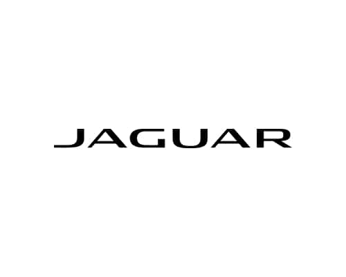 Jaguar Greenville