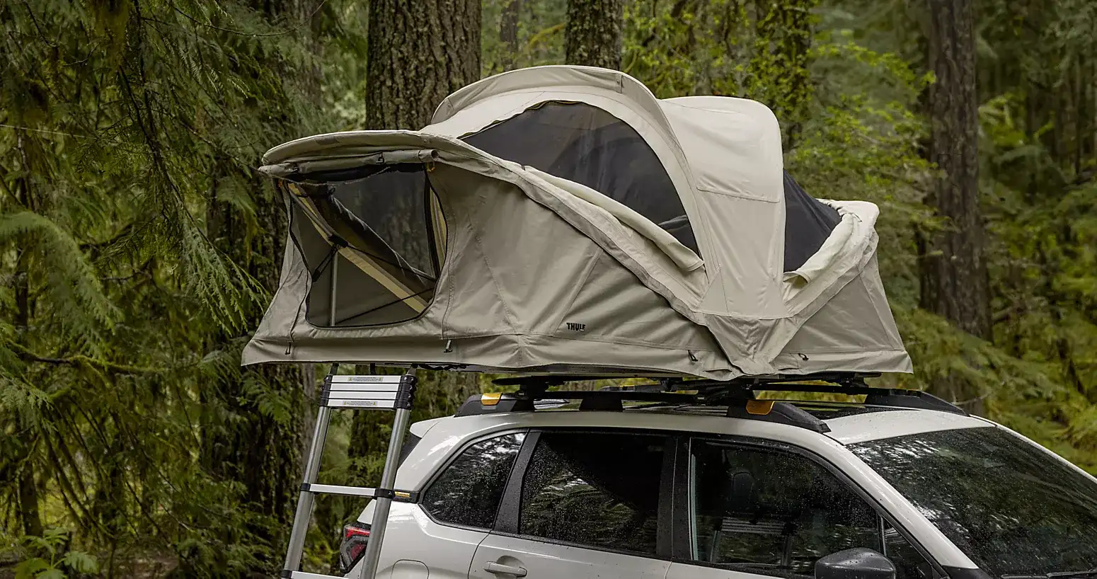 2026 Subaru Forester parked in a wooded campsite with a rooftop tent and ladder set up for camping.