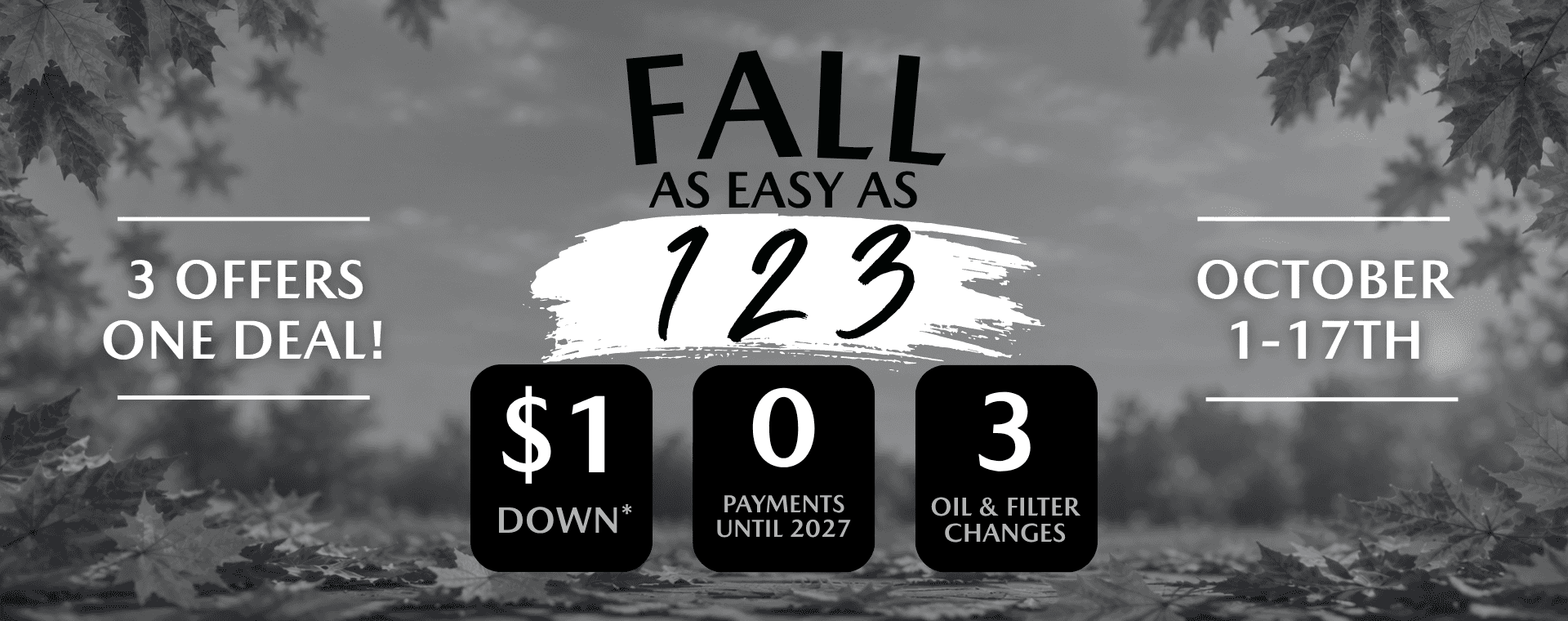 Fall Offer 123