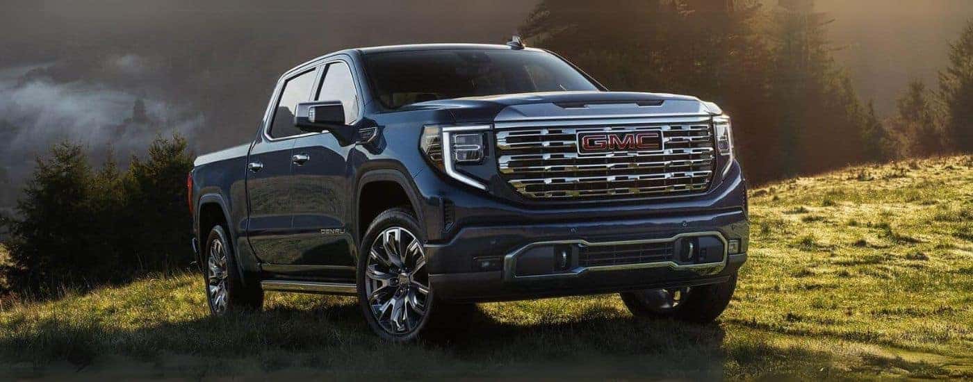 A blue 2024 GMC Sierra 1500 Denali parked off-road on grass