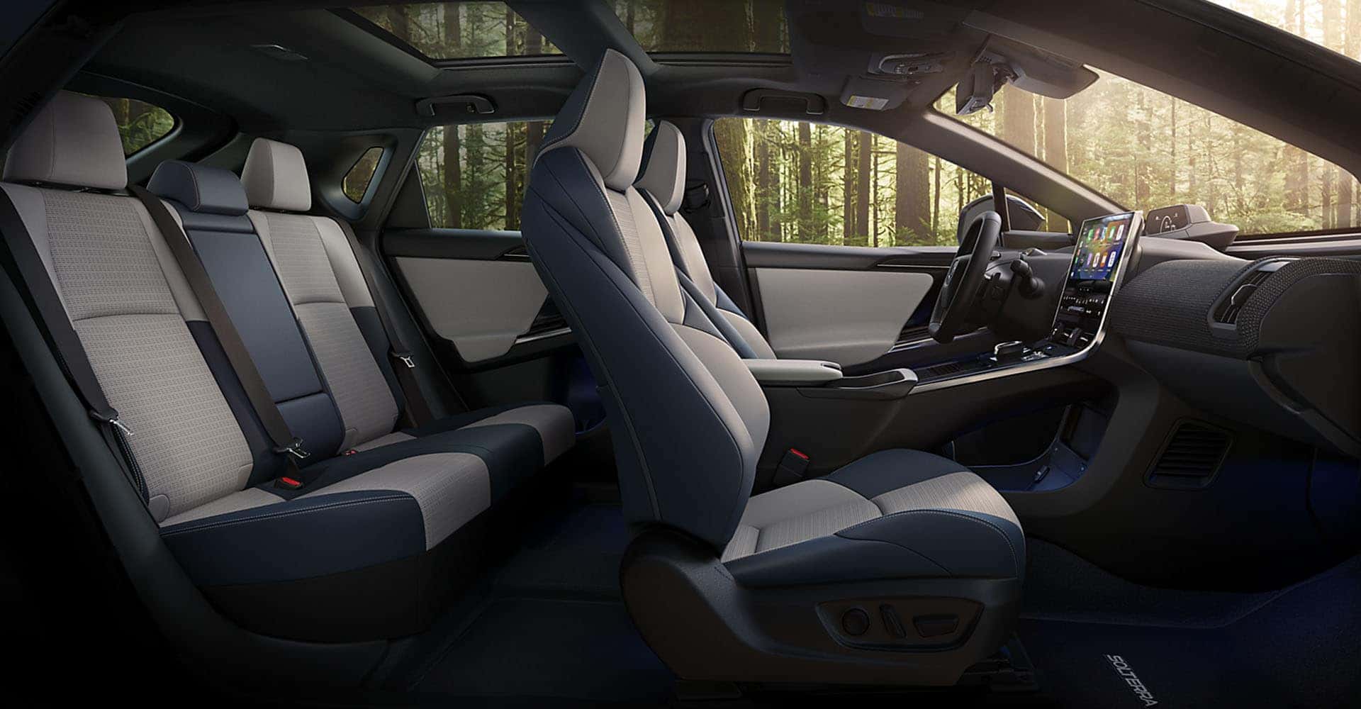 Black interior solterra