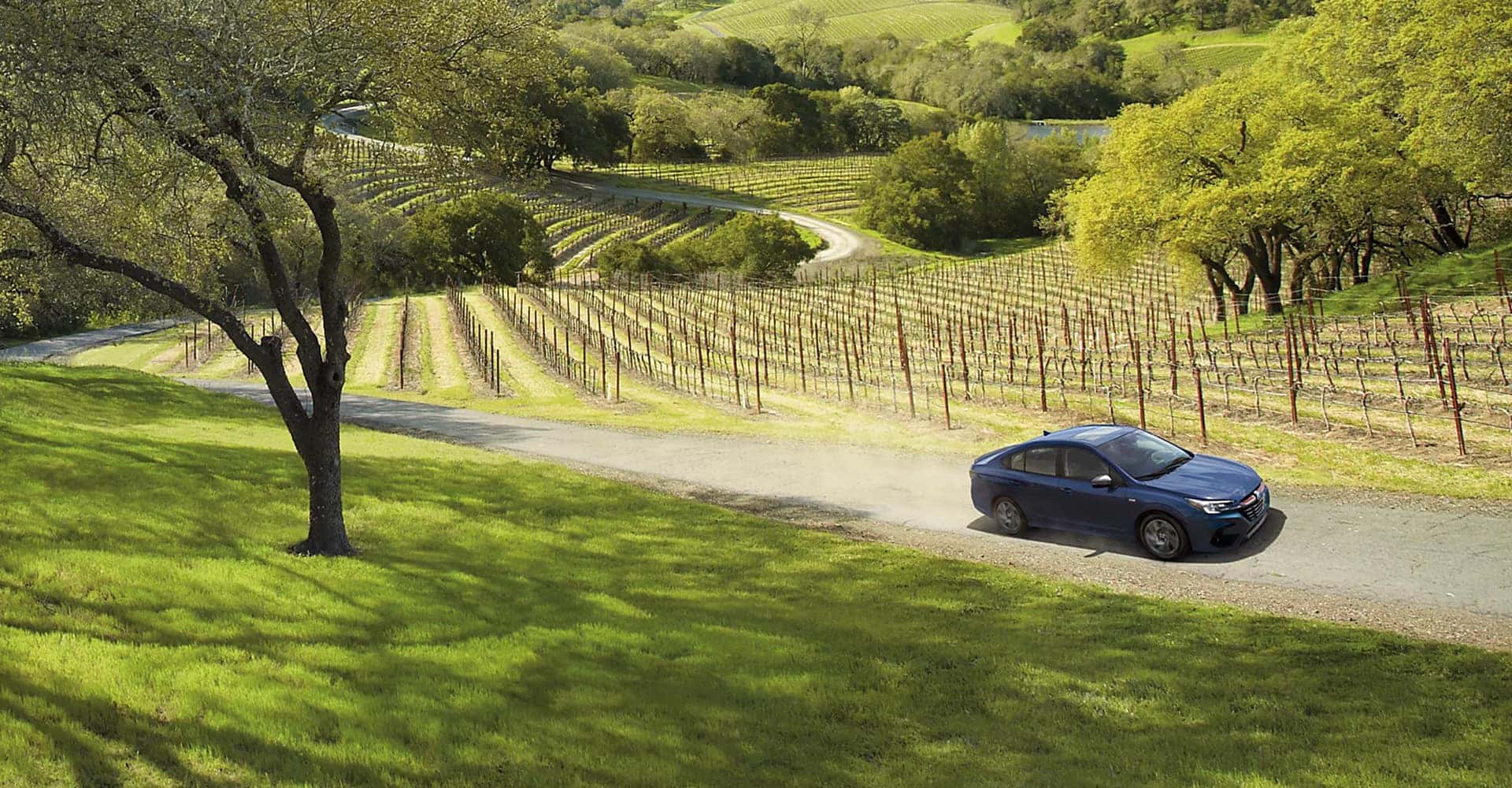 Blue 2025 Subaru Legacy driving in vineyard