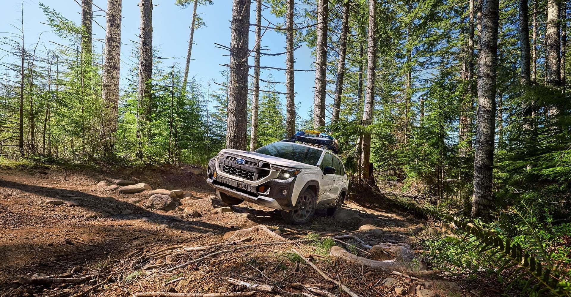 2026 Forester Wilderness front