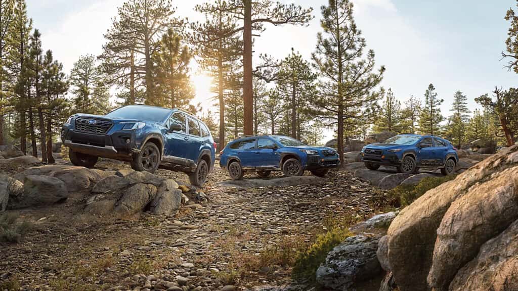 2026 Wilderness Lineup