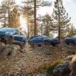 2026 Wilderness Lineup