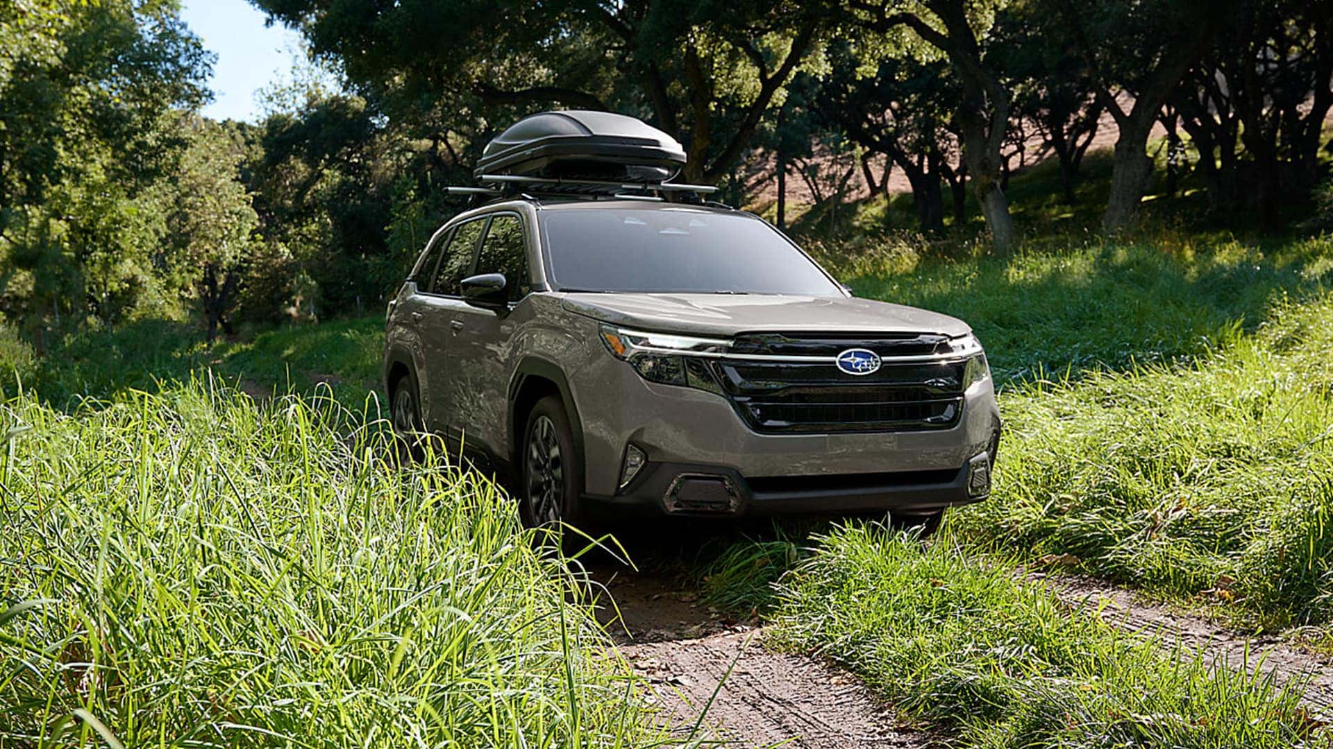 Explore the 2026 Subaru Forester | Santa Cruz Subaru