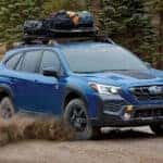 Subaru Outback Wilderness on trail