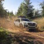 2026 Wilderness shown in Crystal White Pearl with accessory equipment