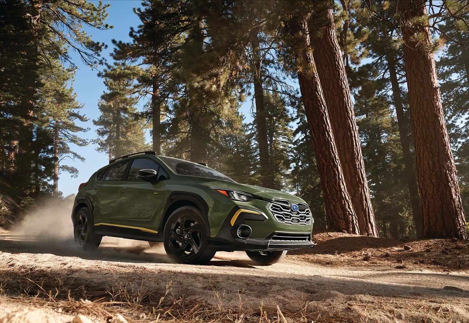 Subaru Elk Rapids MI