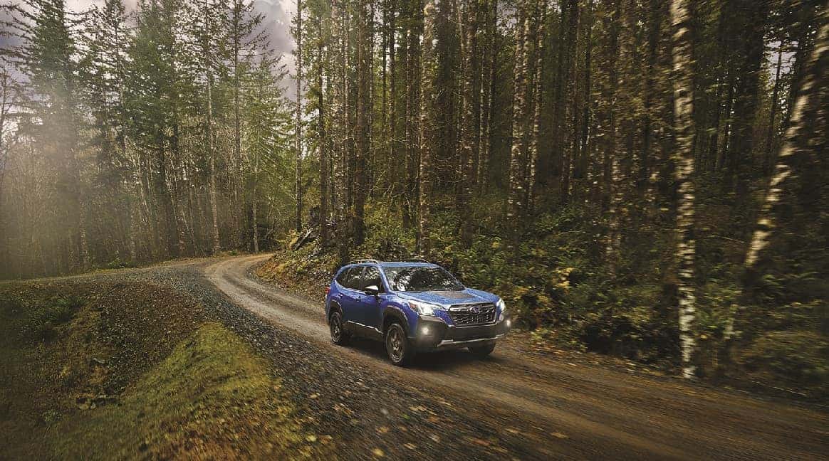 Blue Subaru Forester rounding a gravel curve through a lush, mossy Pacific Northwest forest with headlights on.