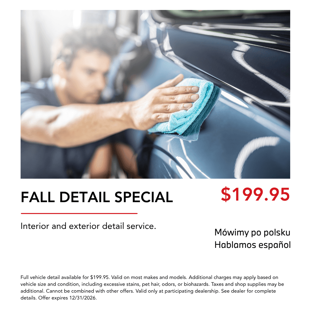 Fall Detail Special