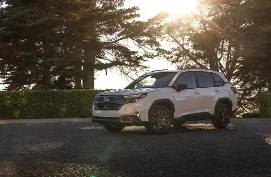 2025 Subaru Forester: A First Look at the All-New SUV | Southern Team ...