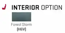 Forest storm sierra 1500