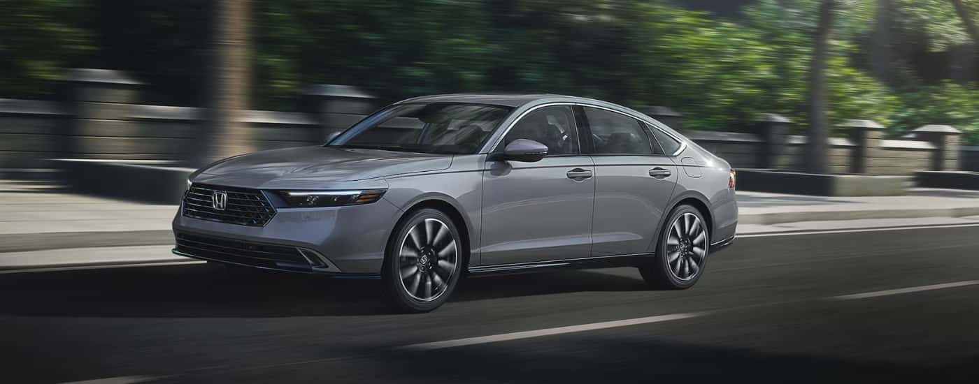 Grey 2025 Honda Accord Hybrid - driving on a city street