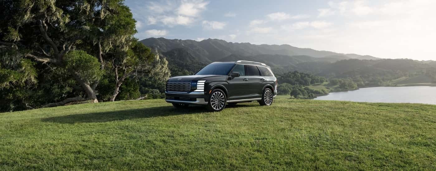 BLack 2026 Hyundai Palisade HEV parked on a field