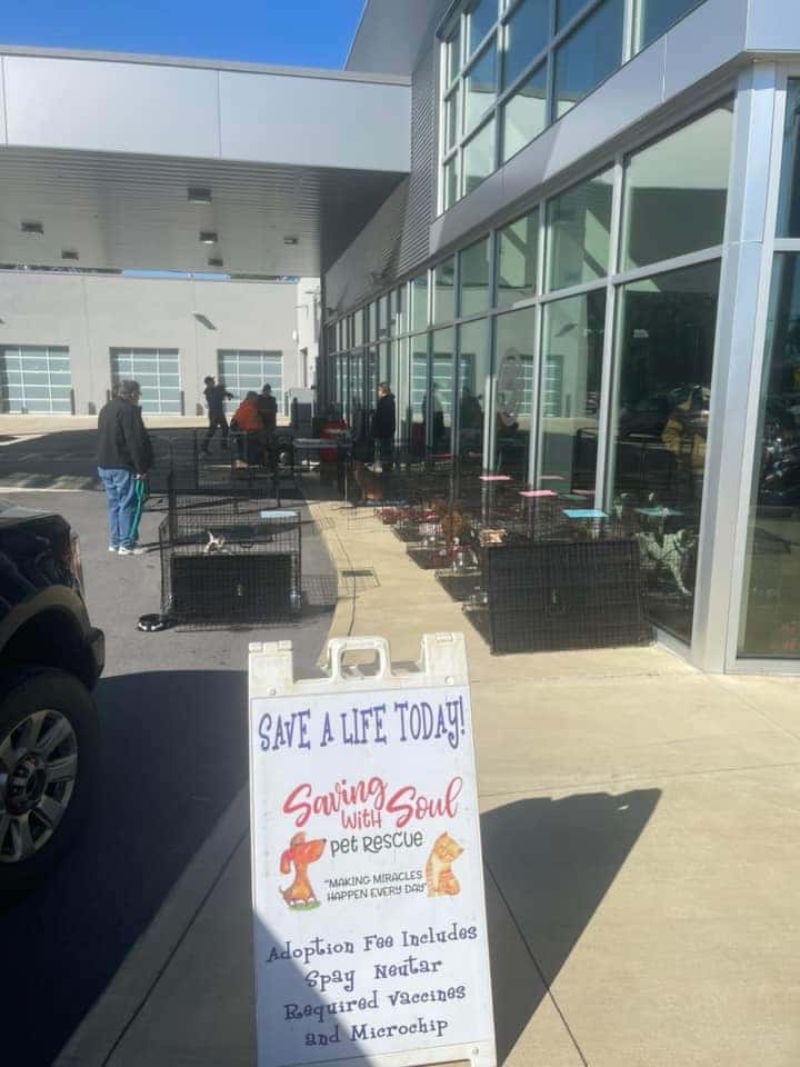 Share the Love Event