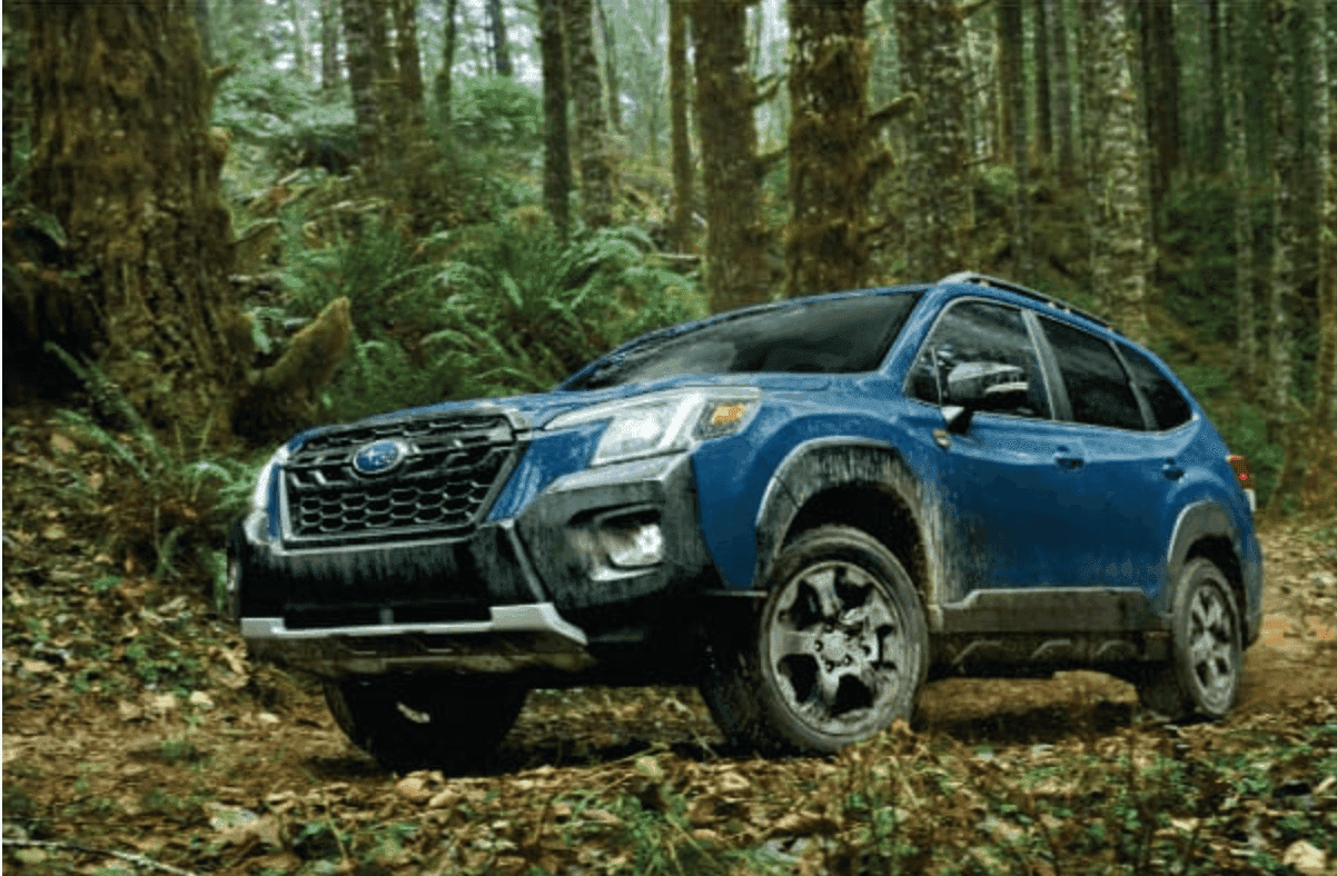 2024 Subaru Wilderness