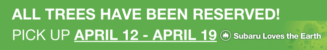 Click here to reserve a tree now button image