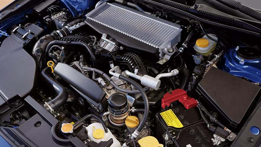2025 WRX