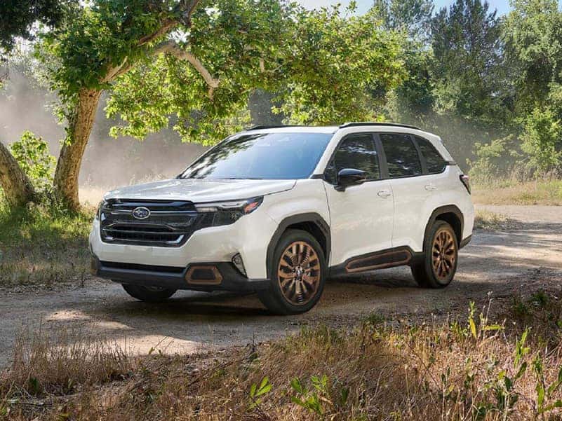 Subaru Dealer Hendersonville PA