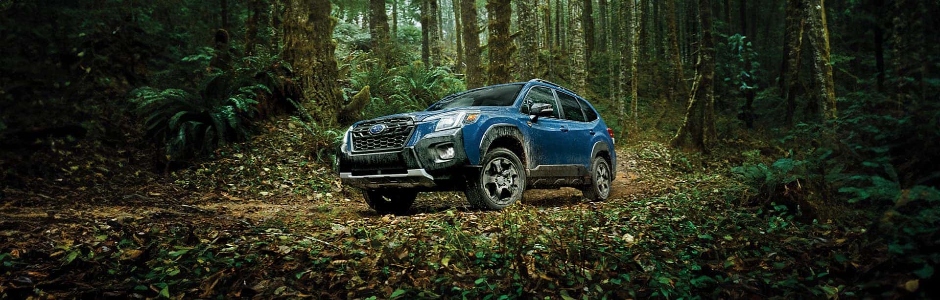 Your Preview of the 2025 Subaru Forester