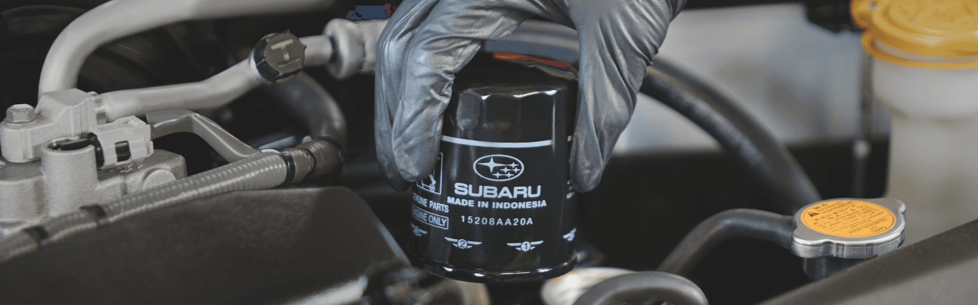 Service Mechanic Oil Change