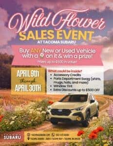 wild flower sales event