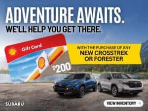 gas card promo