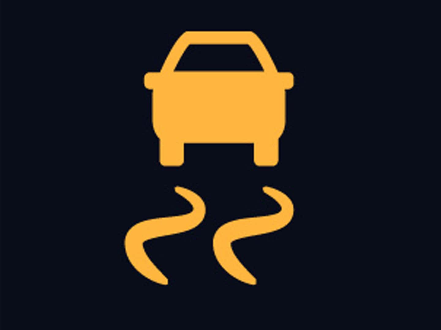 Traction / Stability Control warning light
